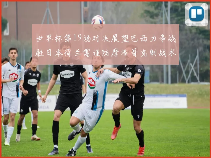 世界杯第19场对决展望巴西力争战胜日本荷兰需谨防摩洛哥克制战术