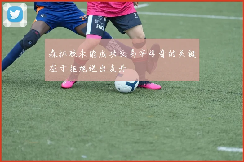 森林狼未能成功交易字母哥的关键在于拒绝送出麦丹